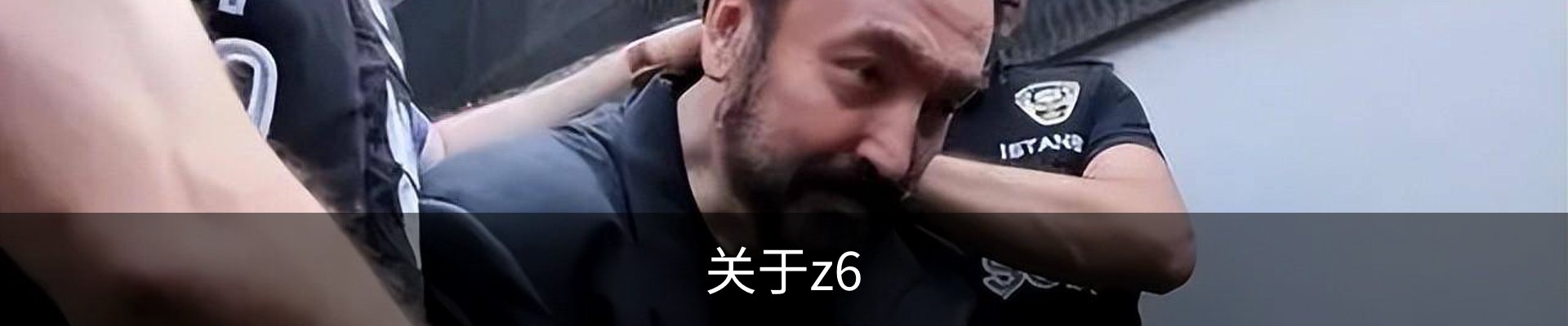 关于z6